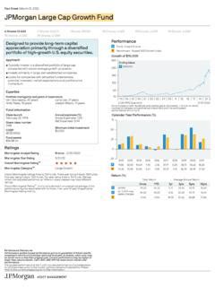 JPMorgan Large Cap Growth Fund: A Comprehensive Overview