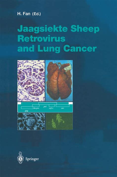 Jaagsiekte Sheep Retrovirus and Lung Cancer. Current Topics in Microbiology and Immunology, No. 275 Epub