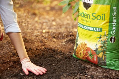 Jack's Fertilizer Near Me: Your Guide to Nutrient-Rich Soil