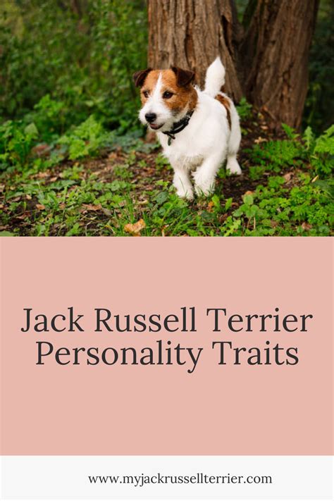 Jack's Personality