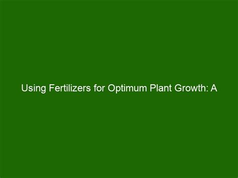 Jack's Plant Fertilizer: The 10,000-Word Guide to Optimal Plant Growth