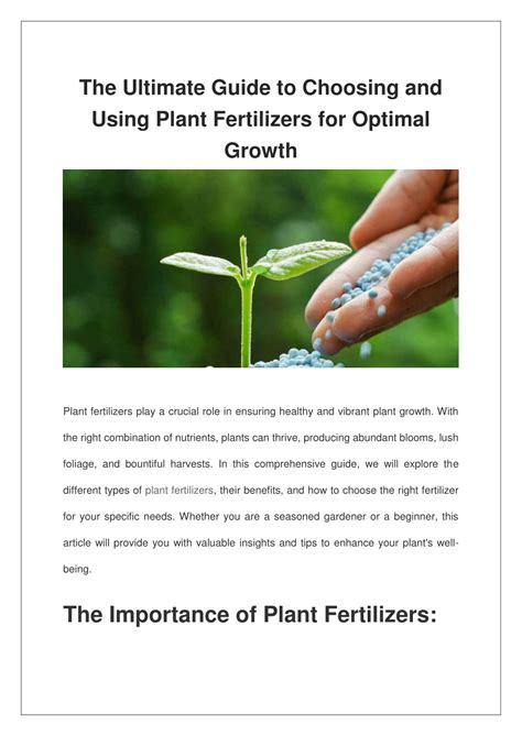 Jacks Plant Fertilizer: The Ultimate Guide to Feeding Your Plants