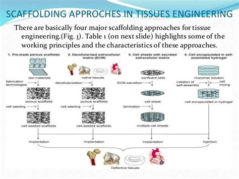 JacksonNTM: A Revolutionary Approach to Tissue Engineering