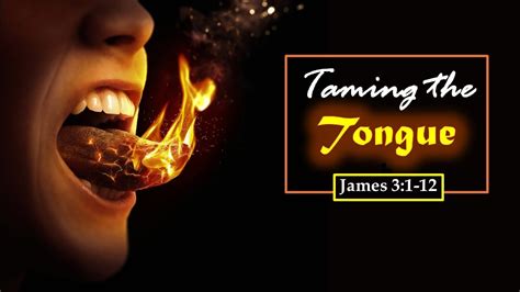 James 3:2-3 ESV: The Taming of the Tongue