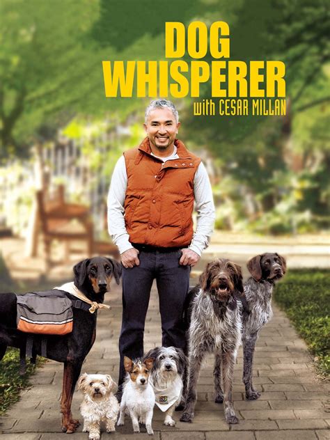 James Crane, the Dog Whisperer Who Transformed Daisy's Life