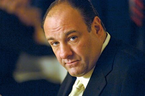 James Gandolfini as Tony Soprano