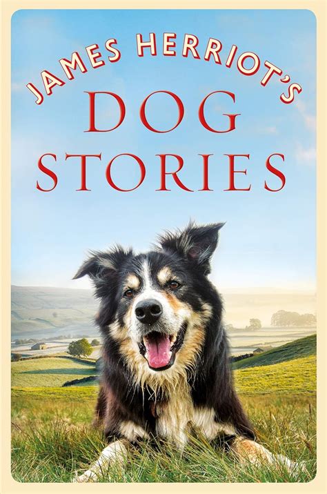 James Herriot s Dog Stories Kindle Editon