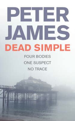 James Peter Dead Simple pdf Reader