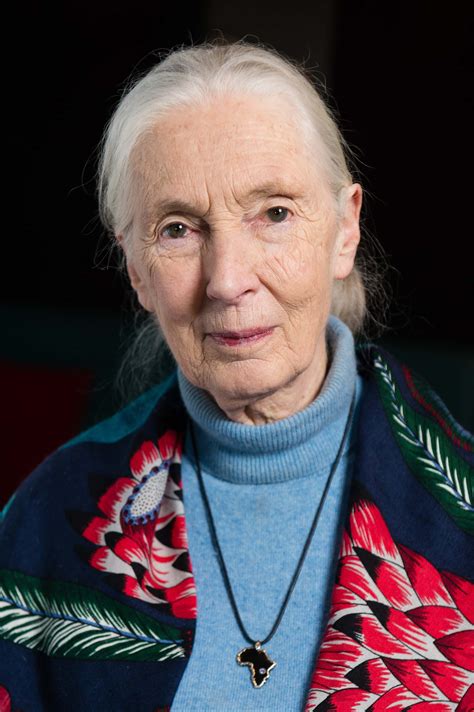 Jane Goodall PDF