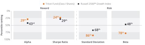 Janus Triton Fund D: A Comprehensive Analysis for Investors