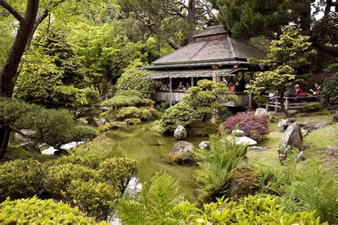 Japanese Tea Garden Golden Gate Park: A History of Harmony