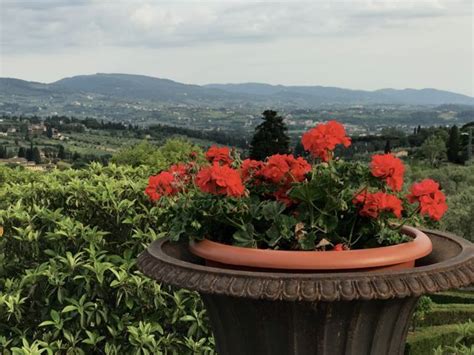 Jardim da Florença: Um Refúgio Verdejante no Coração da Toscana