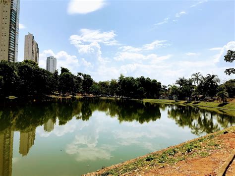 Jardins Goiânia: Um Guia Completo para Criar o seu Refúgio Verde