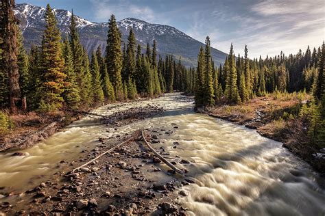 Jasper: A Colorful Symphony of Nature