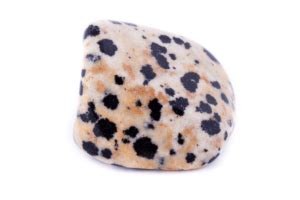 Jasper Dalmatian Stone: A Comprehensive Guide to its Properties, Applications, and Benefits