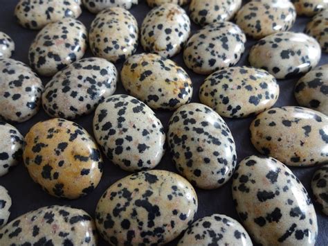 Jasper Dalmatian Stone: Unleashing the Power of the Spotted Gem