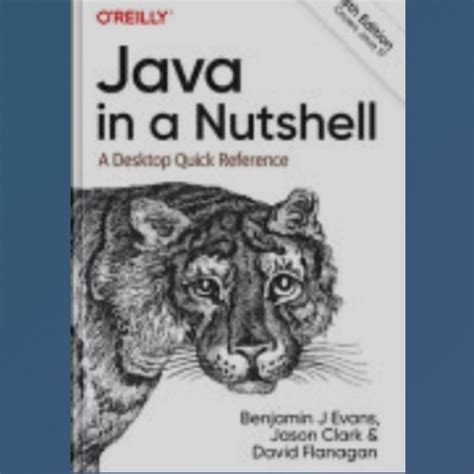 Java in a Nutshell Epub