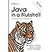 Java in a Nutshell A Desktop Quick Reference 3rd Edition Kindle Editon