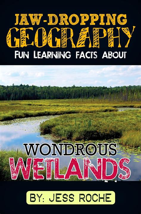 Jaw-Dropping Geography Fun Learning Facts About Wondrous Wetlands Illustrated Fun Learning For Kids Doc