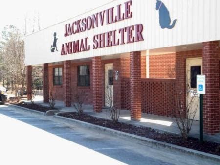 Jax Animal Shelter: A Comprehensive Guide to Saving Lives