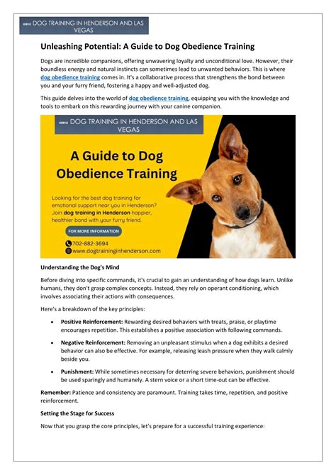 Jax Phoenix: Unleashing the Potential of Dog Training for Advanced Obedience