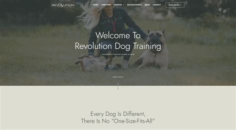 Jay Bank Present: Revolutionizing Dog Training with Revolutionary Techniques