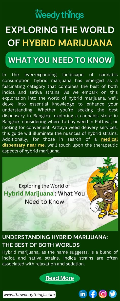 JayneTheStoner: Exploring the World of Marijuana