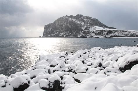 Jeju Island in December: A Winter Wonderland