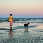 Jekyll Island: A Pet Paradise with 50+ Pet-Friendly Beaches and Accommodations