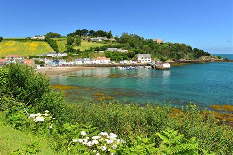 Jersey Birds: Channel Islands' Natural Wonders