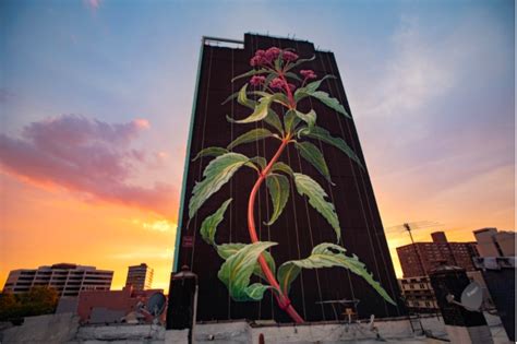 Jersey City's Floral Legacy: A Tapestry of Blooms