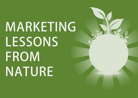 Jessicasuch: Lessons Learned from Marketing Geniuses