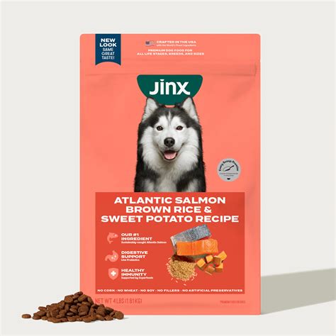 Jinx Dog Food for Large Breeds 2025: The Comprehensive Guide