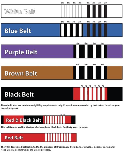 Jiu Jitsu for All Brown Belt to Black Belt Reader