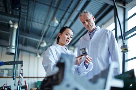 Job Market Overview and Opportunities