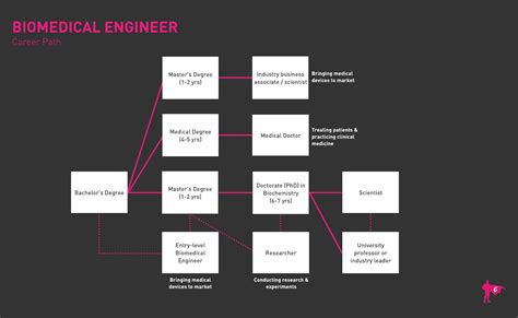 Job Opportunities in Biomedical Engineering