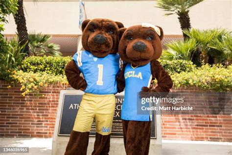 Joe Bruin: The UCLA Bruins' Beloved Mascot and Symbol of School Spirit