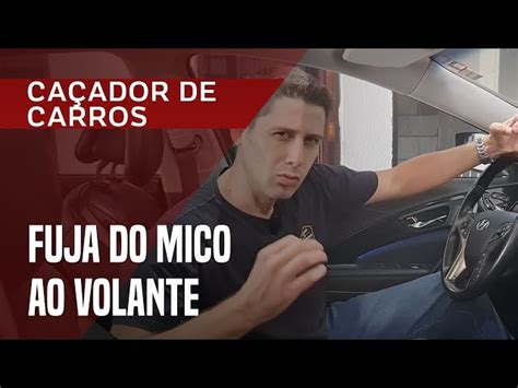 Jogada da Sorte Bet: Tudo o que Você Precisa Saber para Apostar e Ganhar