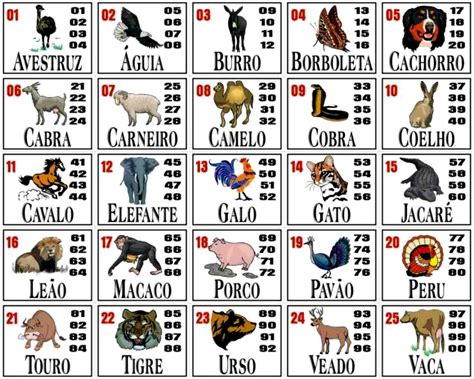 Jogo do Bicho na Paraíba: Guia Definitivo para Acertá na Loteria