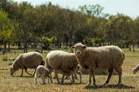 Jogue Verde: Aposta na Sustentabilidade