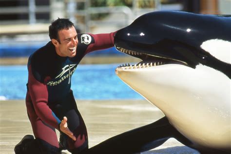 John Hargrove was a former SeaWorld trainer who became a whistleblower.