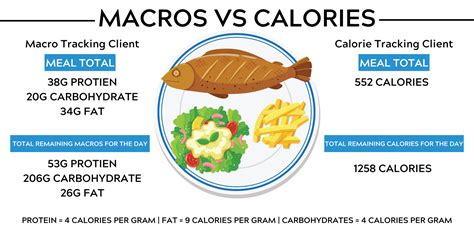 John Kilo: The Master of Macros and Calorie Counting