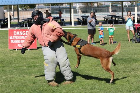 Johnny Palms: A Pioneer in Modern Dog Training