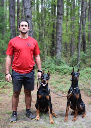 Johnny Palms: The Revolutionary Dog Training Guru Transforming the Bond Between Human and Canine