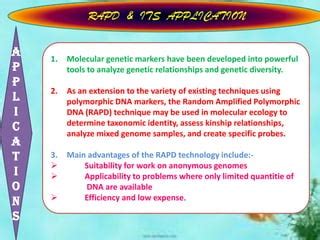 Johnny RAPD: A Powerful Tool for Genetic Analysis