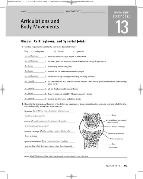 Joints And Body Movements Exercise 10 Answer Sheets Doc