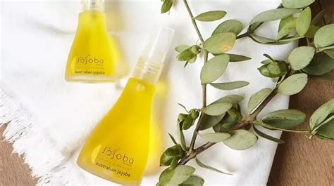 Jojoba Oil: The Liquid Gold for Luxurious Hair