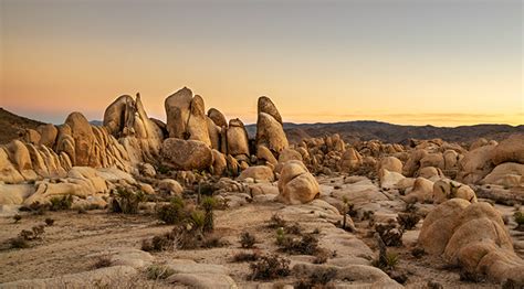 Joshua Tree The Complete Guide Joshua Tree National Park Color Travel Guide PDF