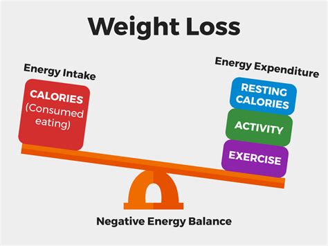 Joules and Calories: Understanding Energy Conversion and Body Energy Needs