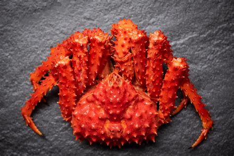 Journey into the Enchanting Realm of King Crab: A Culinary Odyssey